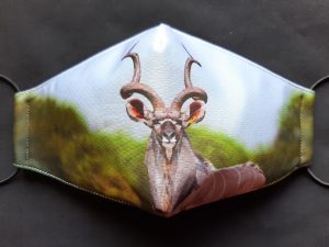 Kudu Mask